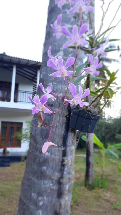 Mellow Villa Tangalle Exterior foto